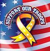 support our troops